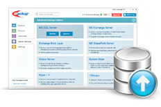 MS SQL Server Backup